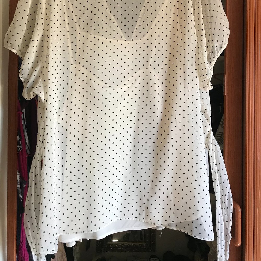 Lane Bryant Sheer Blouse with Under Shell - Picture 5 of 9